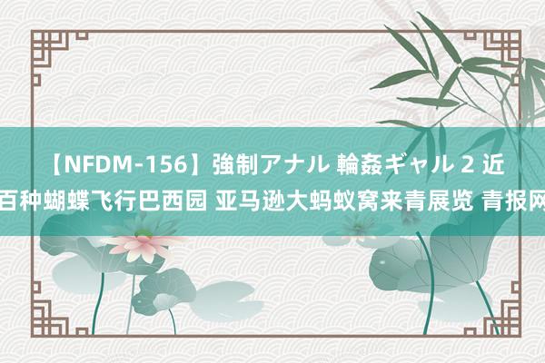 【NFDM-156】強制アナル 輪姦ギャル 2 近百种蝴蝶飞行巴西园 亚马逊大蚂蚁窝来青展览 青报网