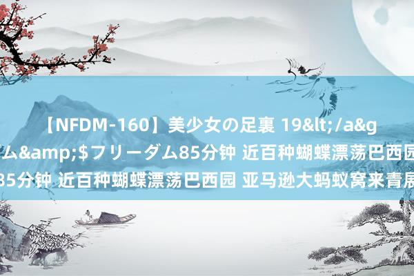 【NFDM-160】美少女の足裏 19</a>2010-01-05フリーダム&$フリーダム85分钟 近百种蝴蝶漂荡巴西园 亚马逊大蚂蚁窝来青展览