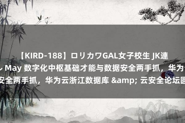 【KIRD-188】ロリカワGAL女子校生 JK連続一撃顔射ハイスクール May 数字化中枢基础才能与数据安全两手抓，华为云浙江数据库 & 云安全论坛圆满落地