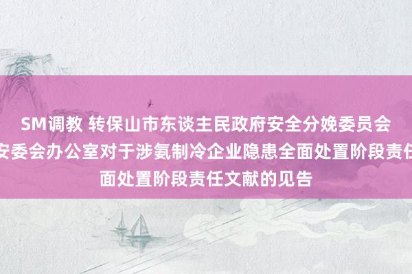 SM调教 转保山市东谈主民政府安全分娩委员会办公室发省安委会办公室对于涉氨制冷企业隐患全面处置阶段责任文献的见告