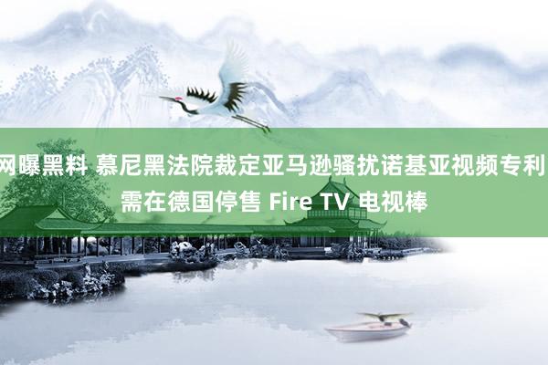 网曝黑料 慕尼黑法院裁定亚马逊骚扰诺基亚视频专利，需在德国停售 Fire TV 电视棒