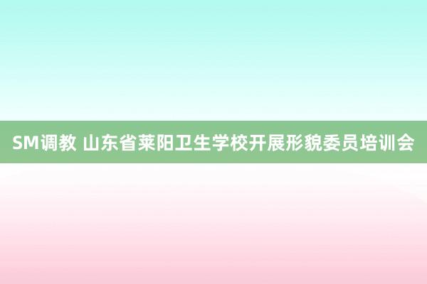 SM调教 山东省莱阳卫生学校开展形貌委员培训会