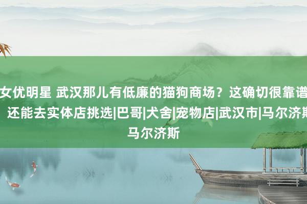 女优明星 武汉那儿有低廉的猫狗商场？这确切很靠谱，还能去实体店挑选|巴哥|犬舍|宠物店|武汉市|马尔济斯