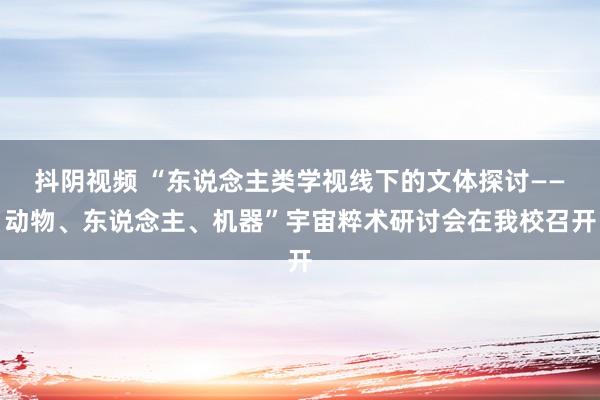 抖阴视频 “东说念主类学视线下的文体探讨——动物、东说念主、机器”宇宙粹术研讨会在我校召开