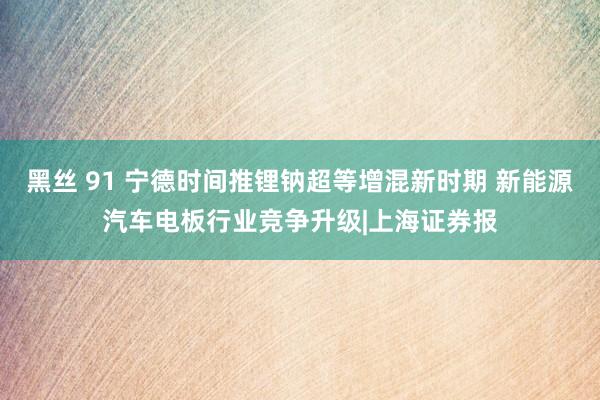 黑丝 91 宁德时间推锂钠超等增混新时期 新能源汽车电板行业竞争升级|上海证券报