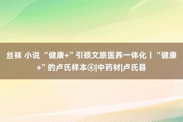 丝袜 小说 “健康+”引颈文旅医养一体化丨“健康+”的卢氏样本④|中药材|卢氏县