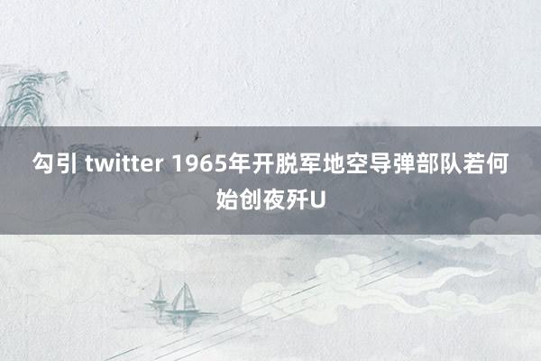 勾引 twitter 1965年开脱军地空导弹部队若何始创夜歼U