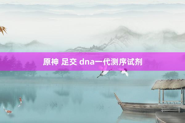 原神 足交 dna一代测序试剂