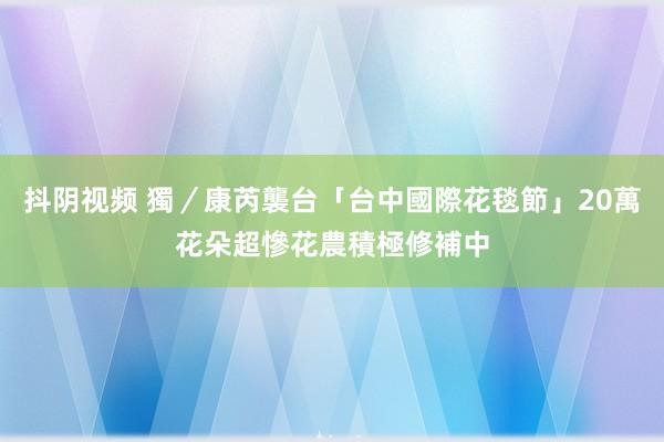 抖阴视频 獨／康芮襲台「台中國際花毯節」20萬花朵超慘　花農積極修補中