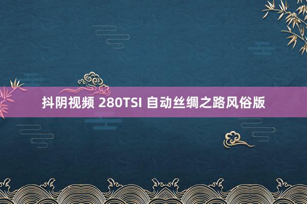 抖阴视频 280TSI 自动丝绸之路风俗版