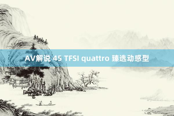 AV解说 45 TFSI quattro 臻选动感型